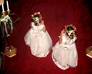 Flower Girls Dresses